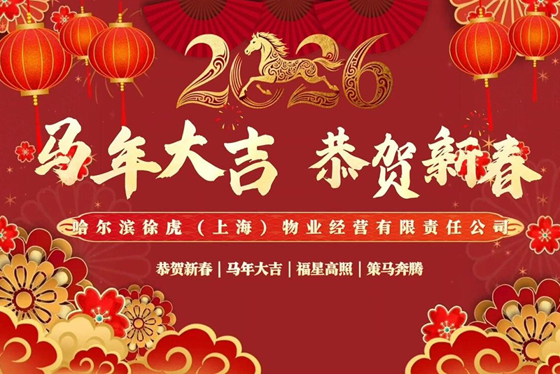 瑞雪映廿五芳华  骏马驰百年新程